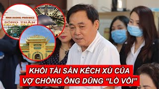 Soi khối tài sản “khủng” của vợ chồng bà Nguyễn Phương Hằng và