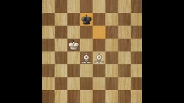 How To Easily Checkmate Your Opponent With Two Bishops! Double Bishop Checkmate! #shorts