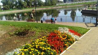 Парк Городской Сад,Озеро С Лебедями