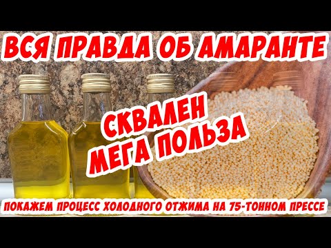 Вся правда об амаранте. Сквален - супер польза. Показываем холодный отжим масла из семян амаранта.