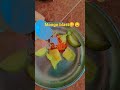 mango 😋🥭