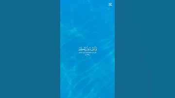 القرآن الكريم.قراءة هادئة تريح النفس #راحة_نفسية #الرحمن #المصحف #لايك #اكسبلور