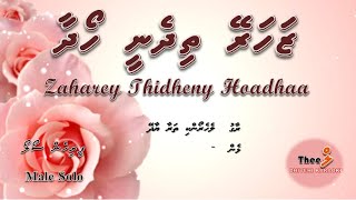 Download Lagu Zaharey thidheny hoadhaa MALE SOLO by Theel Dhivehi Karaoke lava track MP3