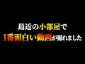 【めちゃくちゃ笑った…】最近の小部屋で1番面白い動画が撮れました