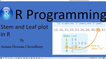 Stem & Leaf plot in R