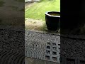 【お出かけ編】🚗〜笹だんごに抹茶🍡新潟#shorts