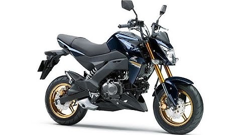 Kawasaki z125 giá bao nhiêu tại việt nam năm 2024