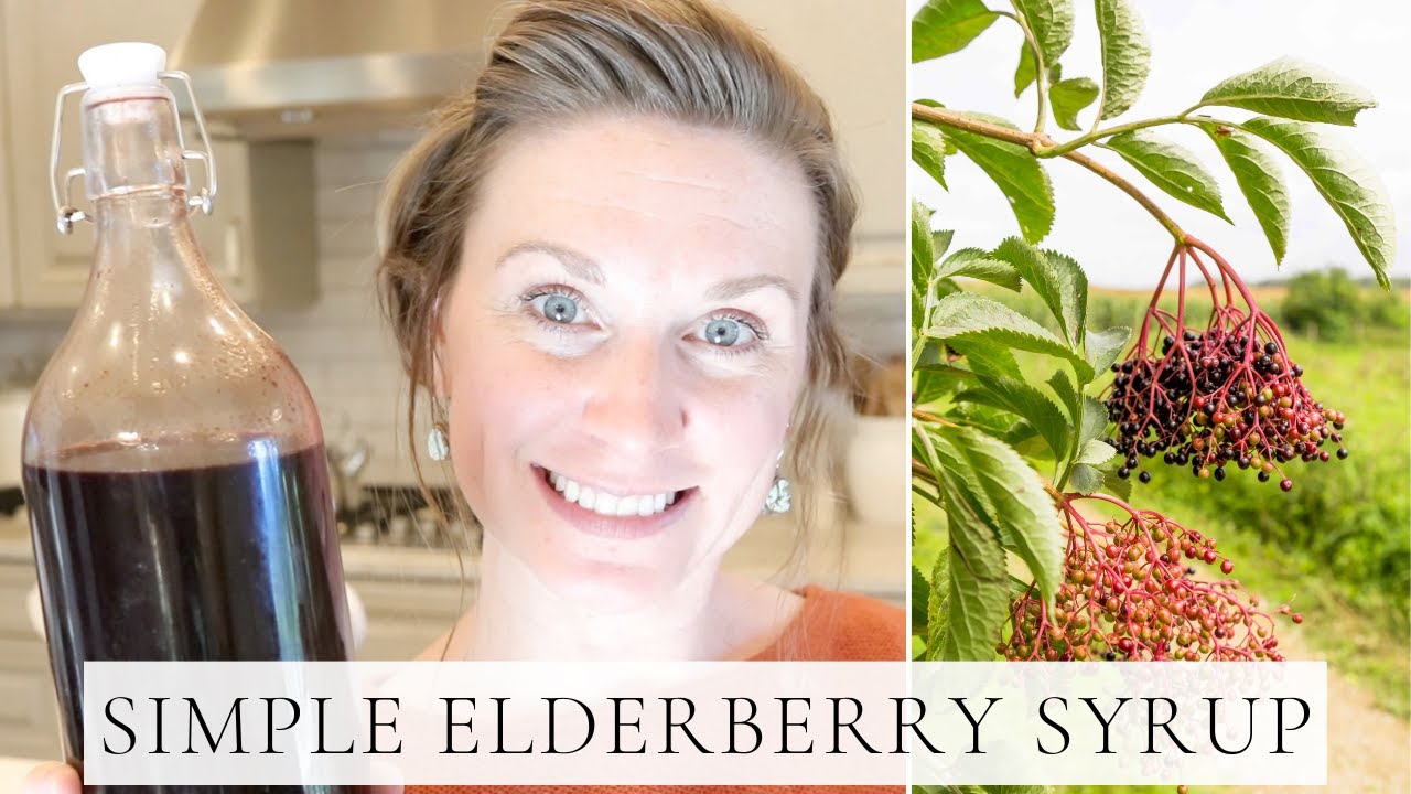 HOW TO MAKE ORGANIC ELDERBERRY SYRUP IMMUNE BOOSTING ELDERBERRY