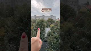 Выбираем недорогую квартиру в Калининграде #2025 #недвижимость #переезд #квартира #деньги