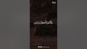 وَلَلْآخِرَةُ أَكْبَرُ دَرَجَاتٍ | تلاوة تلامس القلوب