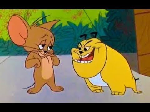 Tom And Jerry - Cartoons For Kids - The Cat's Me Ouch ...