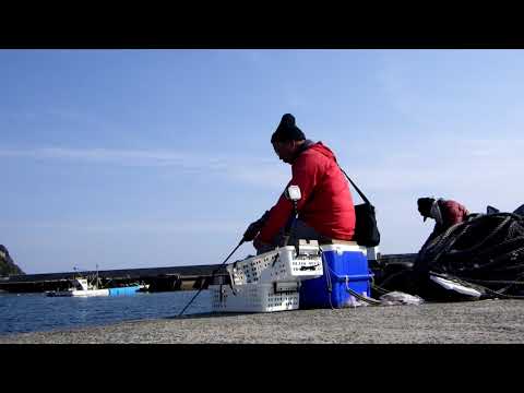 ちゅうまんの夢屋　031  カマスリトリーブ