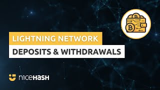 Bitcoin Lightning Network: Deposits & Withdrawals screenshot 3