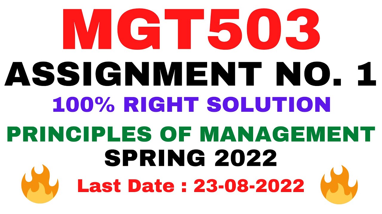 mgt503 assignment 1 solution spring 2022