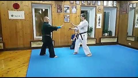 Uechi ryu karate / training the circular defence Wa uke