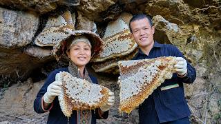 Dwarf Family Discovers a Giant Underground Honeycomb – Amazing Wild Honey Harvest | Primitive Life