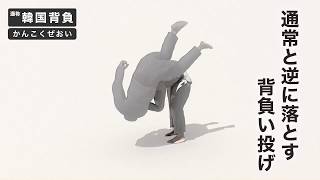韓国背負