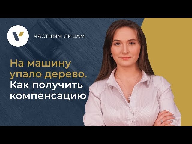 🚗На машину упало дерево. 10 шагов, чтобы получить компенсацию