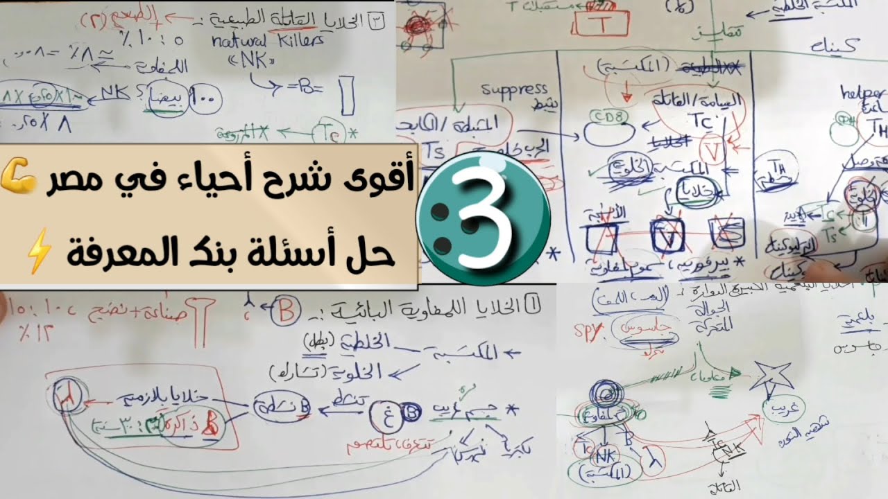 المناعة في الانسان 3 / شرح الخلايا اللمفاوية والخلايا البلعمية الكبيرة + حل اسئلة بنك المعرفة 2021