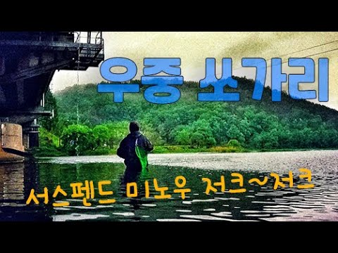 서서팬다 우중 쏘가리/ 안방 같이 편안한 캐스팅/ 서스펜드 미노우 운용 물~반, 입질~반/ 립라이저 60SP, 피딩 67SP