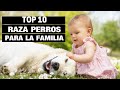 10 RAZAS de PERROS para la FAMILIA - Perros para niños