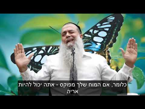 הרב יגאל כהן - לאמן את המחשבה HD {כתוביות} - מדהים!
