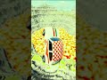 Cars vs Giant Lava Pit – BeamNG.drive 86 #beamng #shorts #beamngdrive #car #usa #viral #india