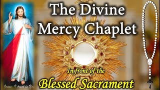 Divine Mercy Chaplet in front of the BLESSED Sacrament (Virtual)