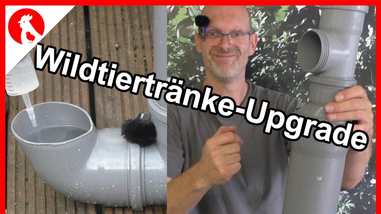 F194 Wildtier Tr nke H hner Tr nke Upgrade F r Einfaches Bef llen f194-wildtier-tr-nke-h-hner-tr-nke-upgrade-f-r-einfaches-bef-llen