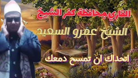 الشيخ عمرو السعيد القارئ 🎤🎧 القارئ بجمهورية مصر العربية العربية ما تيسر من سوره الاعمراان تلاوه نا