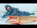 ЧУЖОЙ ЛЮДОЕД - УБИЙЦА ЖЕРЛИЦ ПОЙМАН! Это рекорд! ОГРОМНАЯ ЩУКА ! Рыбалка в Якутии !