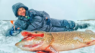 ЧУЖОЙ ЛЮДОЕД УБИЙЦА ЖЕРЛИЦ ПОЙМАН Это рекорд ОГРОМНАЯ ЩУКА Рыбалка в Якутии 