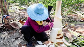 Unique Work! Dwarf Coconut Trees Cutting Skills