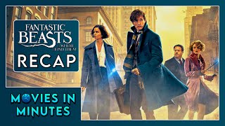 Fantastic Beasts and Where to Find Them in Minutes | Recap