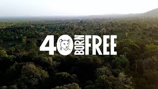 Born Free turns 40! by Born Free Foundation 505 views 1 month ago 2 minutes, 3 seconds