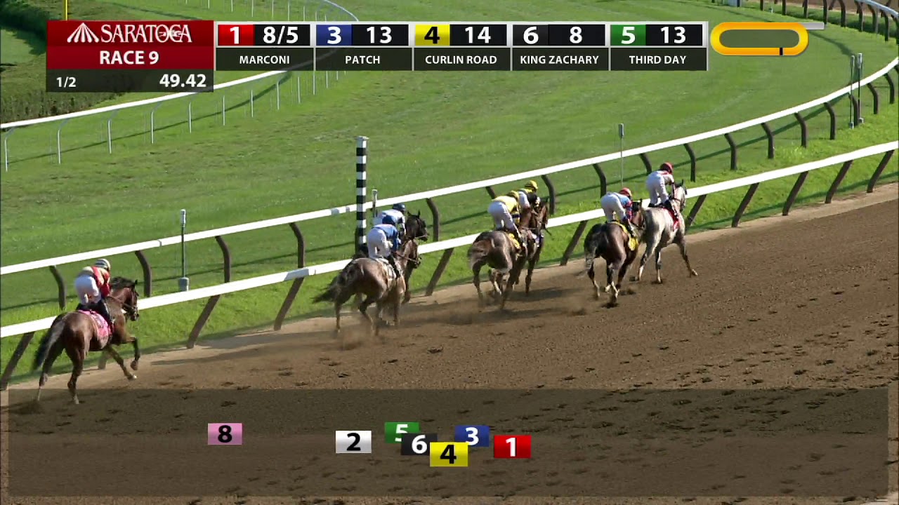 horse racing news King Zachary - 2019 - The Birdstone Stakes en Espanol