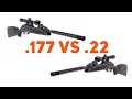 Gamo Swarm MAXXIM .177 VS Gamo Swarm MAXXIM .22 - Side By Side Comparison