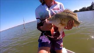 Yellowbelly Fishing 2017