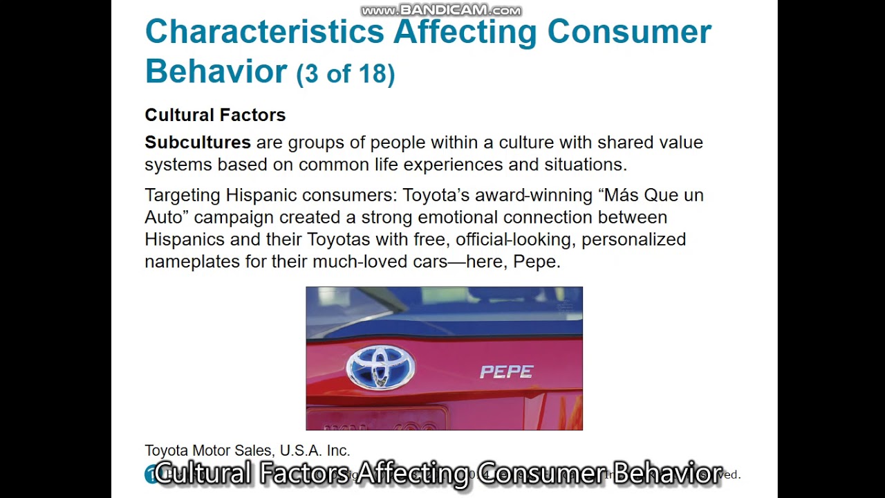 Sub-Culture & Social Class Structure