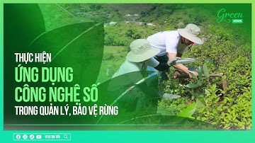 Ứng dụng công nghệ số trong quản lý, bảo vệ rừng | VTC1