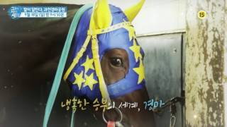 말이 달린다, 과천경마공원_그들이 사는 세상 11회 예고 screenshot 4