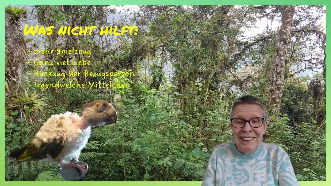 Papageien: Rupfen bei Papageien und Sittichen