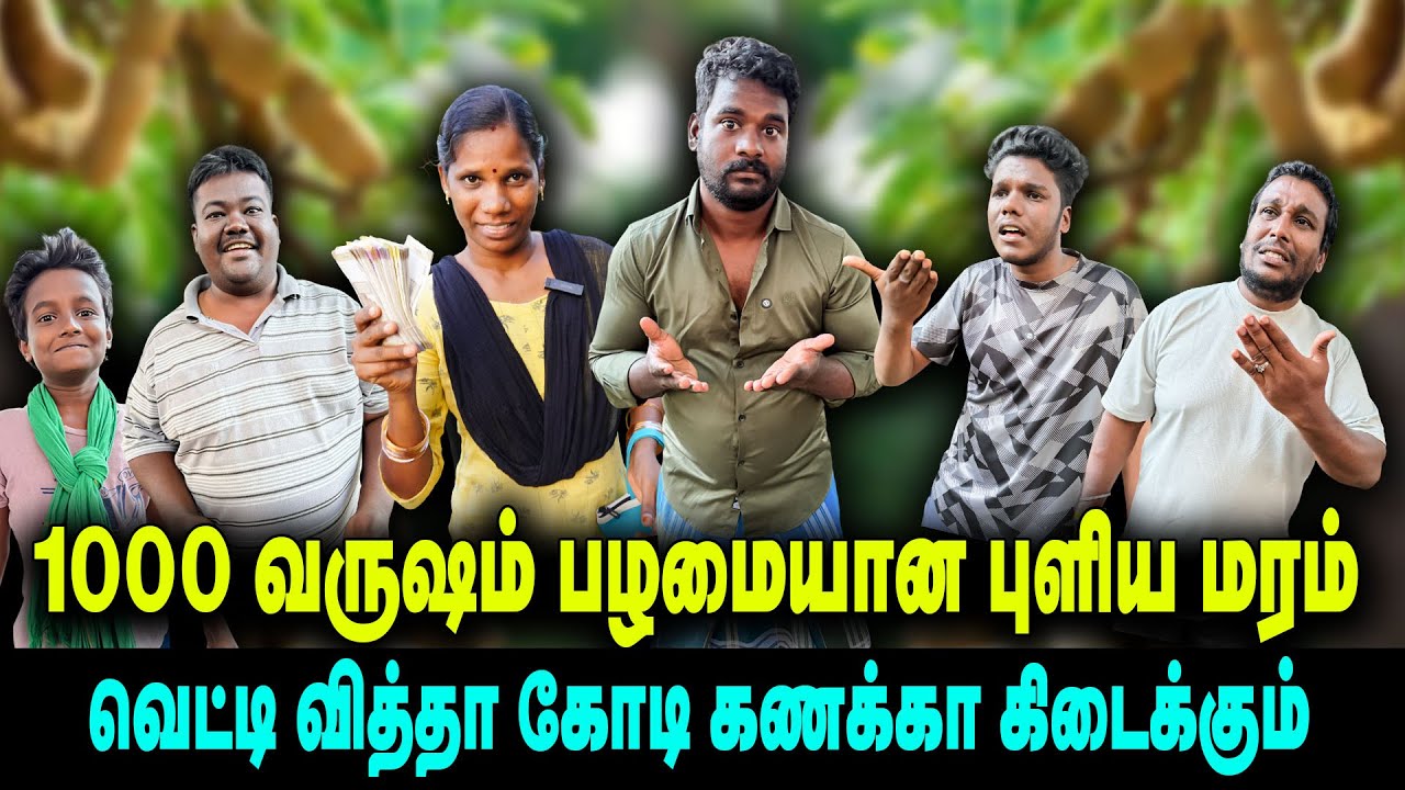 1000 வருஷம் பழமையான புளிய மரம் | வெட்டி வித்தா கோடி கணக்கா கிடைக்கும்  | THAKALI COMEDY