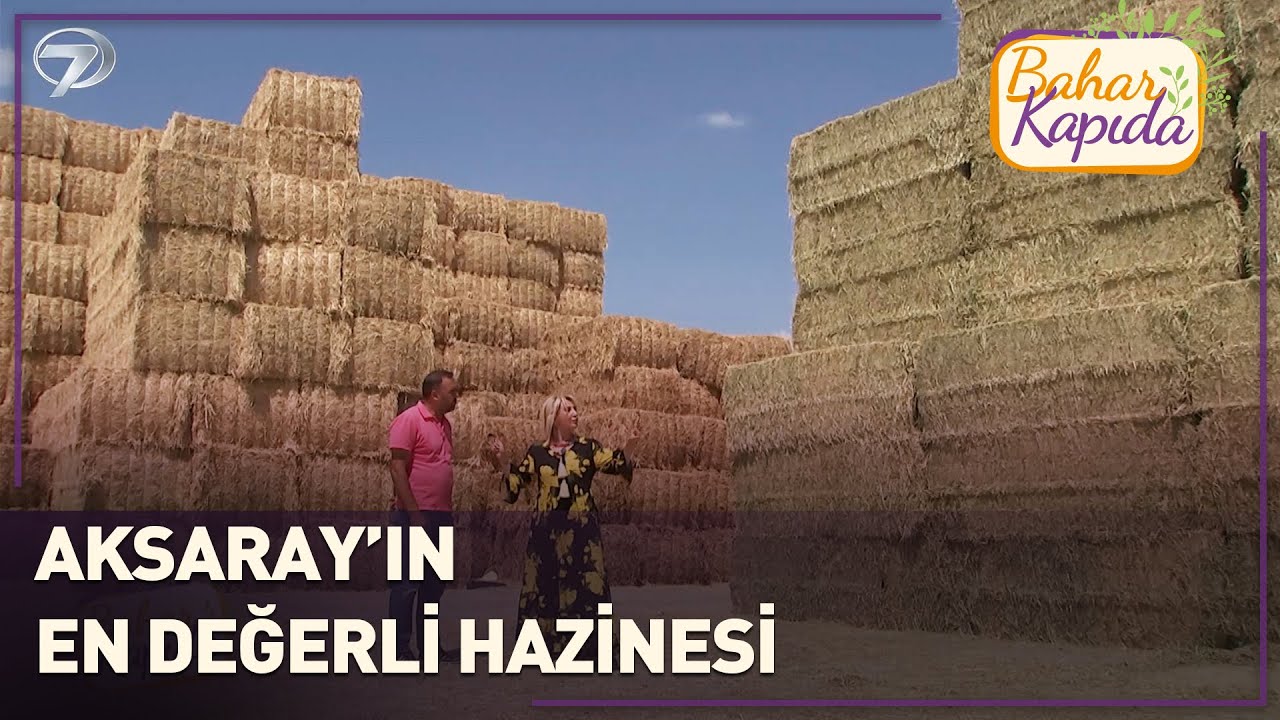 Türkiye'nin En Büyük Yonca Üreticilerinden Biriyiz | Bahar Kapıda | Aksaray