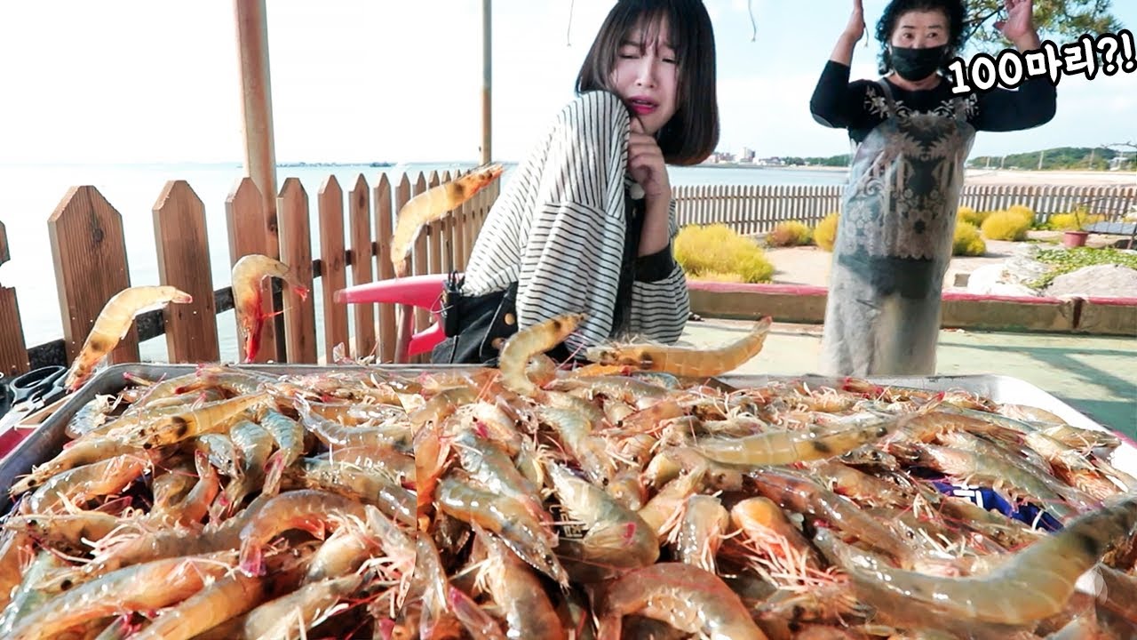 살아있는 새우 100마리 도전..👊🏻 절대 못먹는다는 사장님ㅋㅋ 남당항 새우 먹방