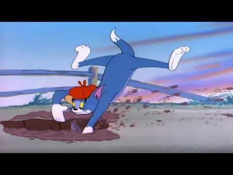 Tom and Jerry Episode 64   The Duck Doctor Part 3