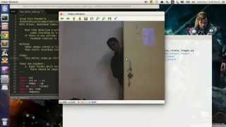 Intruder alert system