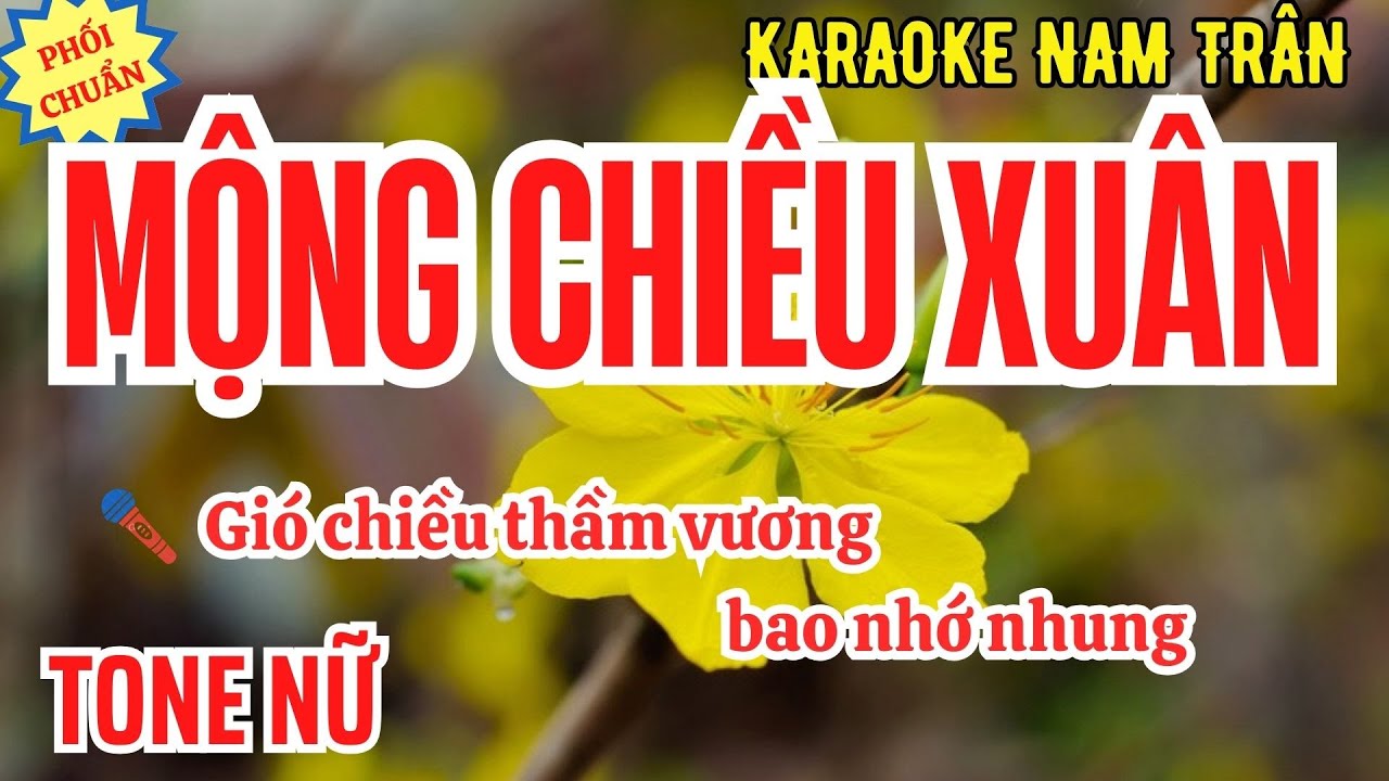 Karaoke Mộng Chiều Xuân Tone Nữ | Nam Trân