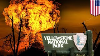 Nasa berencana untuk menyelamatkan amerika dari kiamat letusan gunung
merapi yellowstone jika menghembuskan lahar nya, maka selamat tinggal
wina....