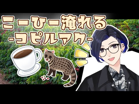 【お誕生日だったので】お友達にいただいたコピルアク淹れる配信☕【日日継手/Vtuber】